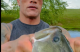 The Rock's Pond Bass VIDEO