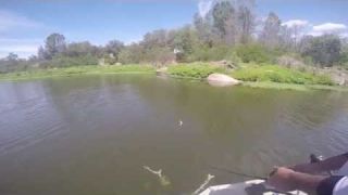 ABT 10.5" Wake Snake in Action