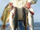 This Week at Clear Lake | July 31