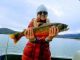 New state record arctic char from one of the largest reservoirs in Colorado