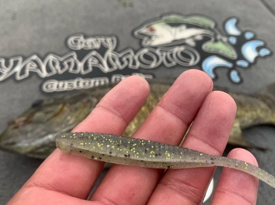 Drop-Shot and a Finesse Jig
Two other finesse approaches Au relies on are the tried and true drop-shot rig and a finesse jig.
"The Shad Shape worm in the Monster Shad color is one of my favorites, but you can't go wrong with any green pumpkin color," he said. "I also like to drop shot the Slim Senko wacky-rigged on a drop-shot."
Au likes a tungsten Keitech jig in a 3/8 or 1/2 -ounce size for finesse jig fishing. Since it's made from tungsten, it's much more compact than lead and Au will trim the skirt down to make it an even smaller package.
"I trim the skirt down and add a Yamamoto Fat Baby Craw that I cut down to fit better," he said. "It's a real subtle jig and works great when the fish are eating crawfish like the day after a full moon. The full moon gets the crawfish more active at night and roaming around and the day after are always some of the best jig fishing days around rocks."
READ RELATED: Four Go-To Soft Plastics and Rigging Presentations for Early Spring
&nbsp;