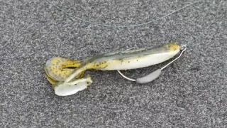 Tackle How-To:  Fish A Buzz Frog With LakeForkGuy #MTB