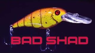 The Bad Shad - Hard Bait from Berkley