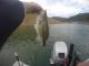 Update from Oroville | April 4