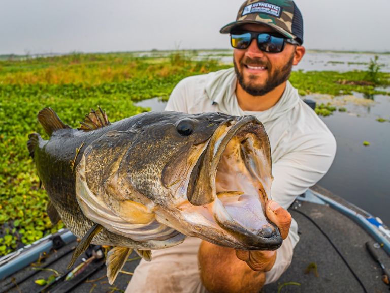 Three Ways to Target Bass in the Grass - One of the best ways to find bass is to seek out aquatic vegetation.