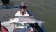 Striper Fishing on the Delta This Week