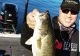 3 Baits to Fish the Fall Feed with Ken Mah