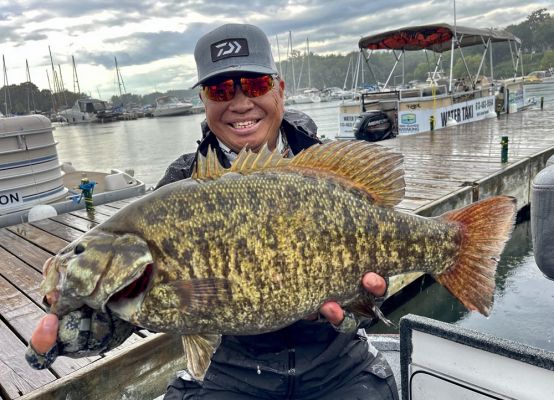 Now that 2023 is in the rearview mirror and we&rsquo;re full steam ahead with 2024 let&rsquo;s look back at the year and the big bass caught last year. We called out on social media to get some big bass pictures from last year and were rewarded with some monsters. The following lunkers were caught nationwide and included some historic fishing venues.
David Chong &ndash; 7.49lbs
During a tournament, Canada&rsquo;s David Chong caught this beautiful St. Lawrence River smallmouth on a Z-Man Hella CrawZ rigged on a Carolina Rig.