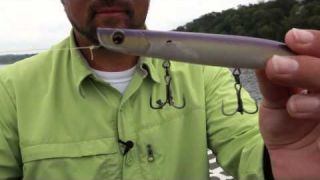 Topwater Fishing and Modifications with Fred Roumbanis