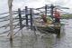 Manmade Structure Added to Arkansas Harris Brake Lake