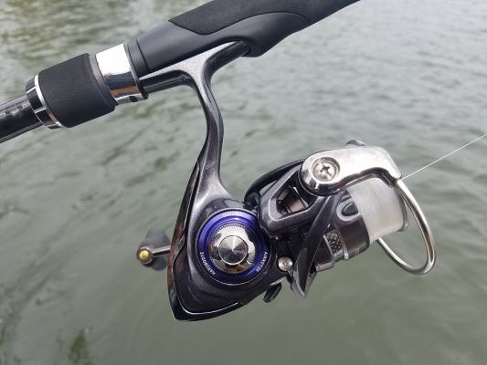 



Procyon EX Spinning Reel $149- $159


Built with a lightweight aluminum frame, the Procyon is perfect for finesse fishing. It also comes with Daiwa&rsquo;s Magsealed system to keep it smooth and protected from the elements.

