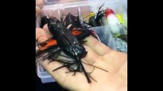 2012  ICAST Flip In The Bird