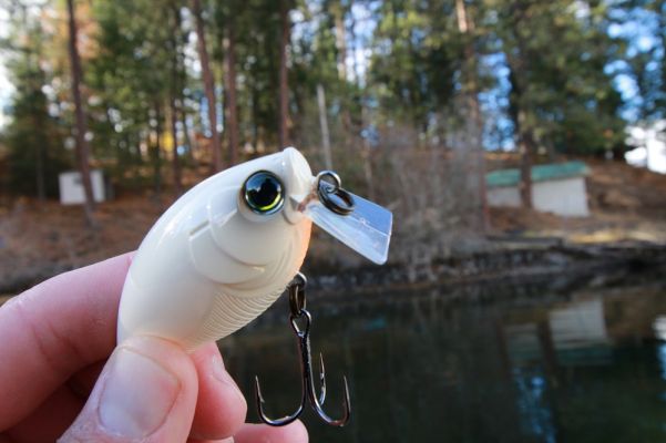 Fishing It
This bait appears to be a squarebill, but fishes like a topwater.
The diving depth is a maximum is just zero to half of a foot.
It is great anytime a topwater bite is working and then again once it slows down. It is also excellent for fishing just above grass in shallow water.
READ RELATED: Get to Know the Hardcore Minnow Flat