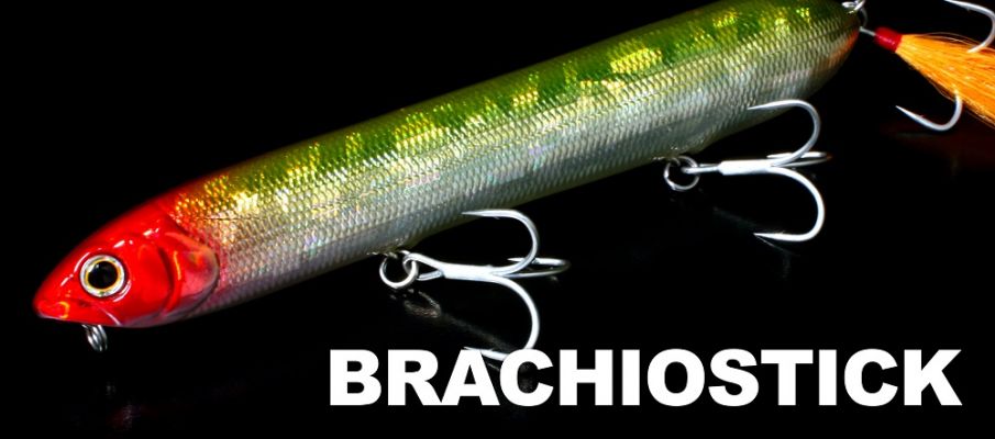 Brachiostick
The jumbo Brachiostick is a jumbo walking topwater that is 147mm (5-3/4") long and 31g (1-1/8oz) and casts extremely. It has some unique features inside it, including a special spring weight inside of it that helps the bait walk easily and adds to the sound and vibration.
The bait has three trebles and walks with a unique action thanks to the cupped mouth. The cup is faced downward to create a bubbling, splashing action like a baitfish. The bait sits in a diagonal position with half of the body under the water as the lure rests.
&nbsp;