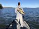 Clear Lake Fishing Report Sept 29