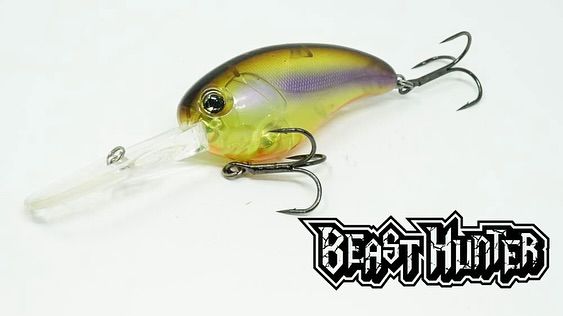 

The Beast Hunter is a mid-range crankbait developed by legendary Japanese pro Jun Shoji, who guides on Lake Biwa in Japan, where a world record-tying largemouth was caught in 2010.
&nbsp;


