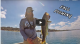 Fall Transition Bass Fishing Lake Camanche VIDEO