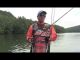 Dobyns Rods | Three New Models for August 2016