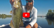 Frog Fishing Tips on the Delta VIDEO