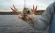 Seasonal Crawfish Colors And Tips