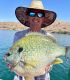 As big as this Havasu sunfish was...