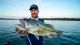 The saltwater swimbait Jacob Wheeler wins bass tournaments with