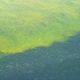 Red Tide Again Showing Off Florida's Gulf Coast