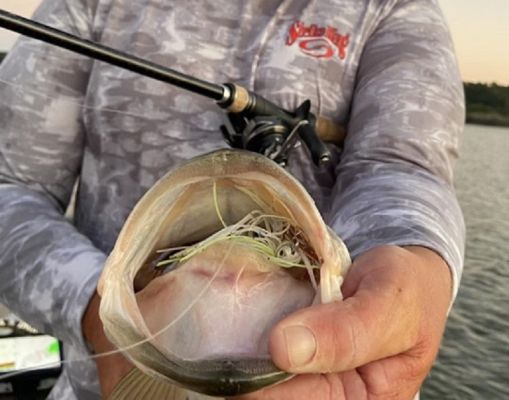 Combs' Cranking Arsenal
Most of Combs' big wins and high tournament placements have come with jumbo crankbaits like the Strike King 6XD and 10XD; he's deadly with any crankbait. This time of year and on this fishery, he's thinking much shallower crankbaits.
"I always have a Strike King KVD 1.5 squarebill tied on this year," said Combs. "It's a proven bait for fishing shallow water in the prespawn and works everywhere."
For a little deeper option, he's a big fan of the Strike King KVD 1.5 Flat, a flat-sided bait with the same great action as balsa baits, but it's a much more durable and better casting crankbait, according to Combs.
"That bait has been really good for me," he said. "It's a great winter and prespawn crankbait. I'll be fishing it on any flatter banks I can find."
He also plans to mix in a lipless crankbait, specifically the Strike King Red Eye Shad in the 2-Tap version.
"It's got a unique sound compared to other lipless baits and an action that's hard to describe," he said. "It's got an excellent thumping vibration that gets bit."
Besides Cranking Classic Bass
While Combs loves to throw a crankbait, especially early in the year, he knows some other lures can help him achieve his goal of winning the Bassmaster Classic. Among those is the Strike King Thunder Cricket vibrating jig.
"I really like the new tungsten version because it's a lot more compact," he said. "That &frac12;-ounce version still casts very well, but it stays down in the water column better than the regular lead version. That lets me slow it down and keep it down, which is great when the water is still cold."
&nbsp;