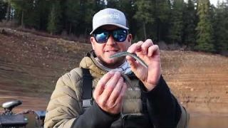 When And Why To Throw The Fat Senko