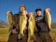 Update from New Melones | Fishing Report