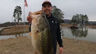 BFL February 2023