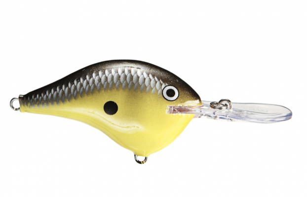 Cranking for Pressured Fish
Most bass fishing occurs in the spring and summer months.
The weather is nice, and everyone from casual to the hardcore anglers is out when the air temperatures are pleasant. This can lead to more fishing pressure and is part of the reason why Palaniuk likes Rapala&rsquo;s DT series.
&ldquo;They have a different presence in the water since they are a mass-produced balsa bait. They are more natural and a toned-down action,&rdquo; Palaniuk said. &ldquo;So many plastic crankbaits on the market have an aggressive wobble and wide swings to each side. That is what most people are throwing and why the DTs are so good for pressure fish.&rdquo;
READ RELATED: Up and Coming from Rapala and VMC
&nbsp;