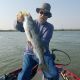 Comprehensive California Delta Fishing Report | Stripers Showing Up