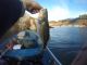 Oroville Fishing Report | Nov 29