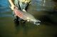 Salmon Fishery Now Open in Ocean Areas of Washington State