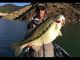 World Record Bass: Bailey Catches the Spot of a Lifetime