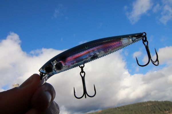 Transparent
Many of the 3DR finishes are very lifelike and almost transparent.
This is a color called Real Gizzard Shad and the subtle coloring make it a great way to match the appearance of any silvery or white baitfish.