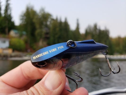 Design
Most lipless crankbaits share the same shape and look. The difference is in the details. The Hardcore Vibe has a flat head and tall body which helps give it a bigger profile and also helps you to cast it a mile.
&nbsp;