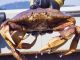 Recreational crab fishing closure planned for WA