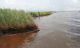 Deepwater Horizon Oil Spill Causes Coastal Land Loss, According to NASA