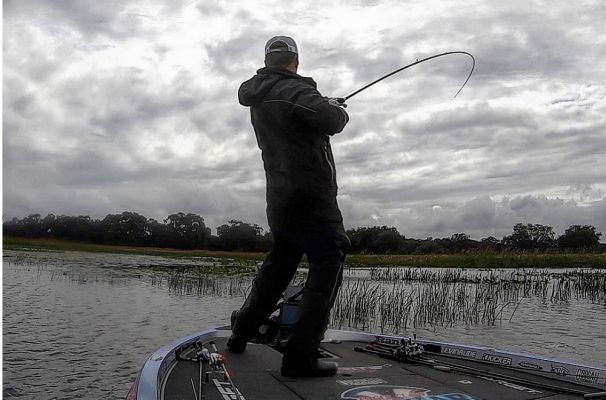 Low Vis Green Braid
The low visibility of the green braided line is something that Martin relies on for a variety of techniques. Flipping, pitching, punching, frogs, and topwater lures are times when he reaches for the standard Green P-Line TCB 8 braid.
&ldquo;I use 65-pound a lot for punching and flipping. For frogs and topwaters I like 50-pound because it casts so great,&rdquo; he said. &ldquo;If I am using a walking topwater bait, I&rsquo;ll add a short six-inch leader of 17 or 20-pound P-Line CXX.&rdquo;
8 Strand vs. 4 Strand
Besides just different colors of braid, the number of strands is another thing to consider. The 8-strand braids are thinner and smoother, and this is what Martin uses for bass fishing.
&ldquo;The TCB 8 is very smooth, and it has a light Teflon coating which makes it a little stiffer, but it cuts down on wind knots and other problems you get with uncoated braids. It is also really quiet and durable, which are both very important to me,&rdquo; said the Florida pro.
&nbsp;