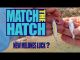 Match The Hatch! New Melones Luck?