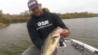 Zack Birge's top 3 Yo-Zuri tournament baits