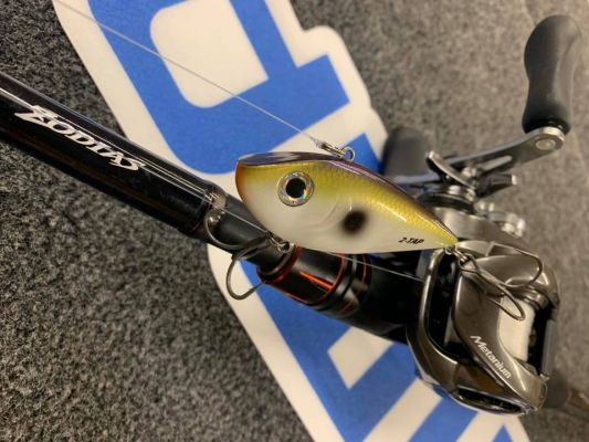 A Love for the Lipless
Combs admits that he is a lipless crankbait fanatic and that he throws a variety of styles and sizes of these popular lures. One of his favorites this time of year is the Strike King Red Eye Shad Tungsten 2 Tap because of the unique sound it has.
"Lipless crankbaits are great because of the vibration and sound they make. The 2-Tap is a big fish bait because of all of the water displacement," said the Texas pro who added some info on what he is looking for when throwing a lipless crankbait early in the season.
"I like to position my boat in the middle of ditches and drains and fish the flats on both sides of the boat. Grass is great but isn't necessary and I'll also try to make contact with the bait on cover like stumps, shell beds, and high spots," he said.
When working the bait, he will vary his retrieves and often rip it up and let it fall back down. He's also a big fan of a glass rod for this way of fishing because he feels it enables the fish to get the bait better.
His rod of choice is a&nbsp;Shimano Zodias&nbsp;172 MH, A 7'2" medium-heavy cranking rod that he also uses for some diving crankbaits.
"It is a very versatile rod and the glass allows the bass to get the bait, but the rod still has enough backbone to rip a lipless through the grass," said Combs.
He pairs that rod with the new&nbsp;Metanium MGL&nbsp;in the 7.1:1 gear ratio and spools it with 15-pound Seaguar InvizX. That reel has quickly become his favorite.
"I'm in love with it, it casts better than any other reel I have and it is effortless," Combs added. "It is probably going to sound too good to be true, but the one-piece frame makes it so much more sensitive."
Combs says the Metanium MGL is ideal for most applications. "I use them for quite a few techniques, but it has a shallower spool so it wouldn't be the best for deep-cranking. But, there's no comparison for how sensitive the reel feels," Combs shared.

&nbsp;