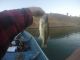 Lake Oroville Fishing Report | This Week June 12