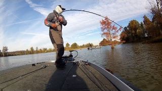Mark Daniels Jr. on a Flurry