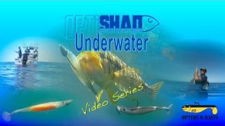 Underwater Viewpoint: Opti Shad in Real Conditions