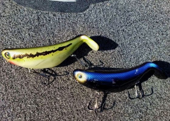 #3 StutterStep
Shown: (Left to Right) Baby Bass, Black Shad
The original StutterStep is a bigger bait. It is one-ounce with a lot of bulk to it. I&rsquo;m putting my money on that is what is going to catch big bass of the tournament. The Baby Bass pattern is a tried-and-true color in all walking-style baits and it brings the whole threat aspect to the spawners that are guarding fry.
In my opinion, Black Shad doesn&rsquo;t get enough love. It is a dark silhouette, which looks like a shadow over the top of their head. It&rsquo;s dark color, doesn&rsquo;t really allow them to make out exactly what it is; so, it can replicate many different forage items. Black has always been a big fish catching color.
Targets:&nbsp;Primarily the same as the 4.0 targets. In spawning areas, you can agitate the bass on the bed. In this tournament, this would be the best bait to get spawning ones to eat. You can get it over their head, twitch that thing and work it over the top of the nest.
The Rat-L-Trap Open presented by Best Bass Tournaments blasts off April 22.&nbsp;Register here.