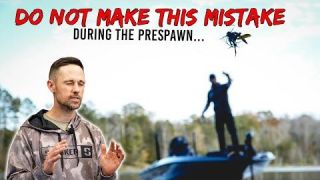 Do Not Make This Mistake During the Prespawn