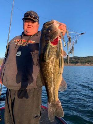 See Part One
See&nbsp;Part Two
See Part Three
&nbsp;
Matthew Antonich
This seven-plus (7.03) ate a Bailey Rig on Idaho's Lake Coeur d'Alene.
&nbsp;